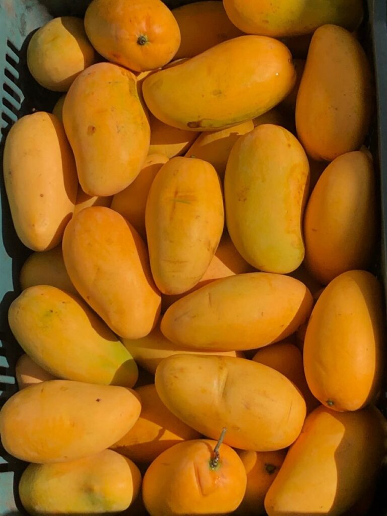 whatsapp image 2025 09 03 at 1.00.02 am